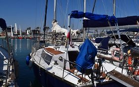 Velero En Puerto De Valencia - E&M Boats